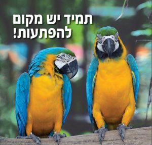 שער חוברת פעילויות - שני תוכים משוחחים